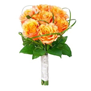  .     . Belflower -    .     .